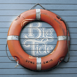 big tide Sync Or Swim Vinyl LP