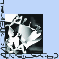 Constant Mongrel Experts In Skin Vinyl LP