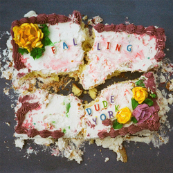 Dude York Falling Vinyl LP