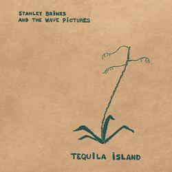 Stanley Brinks / The Wave Pictures Tequila Island Vinyl LP