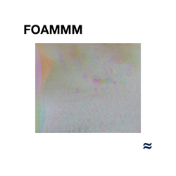 FOAMMM FOAMMM Vinyl LP