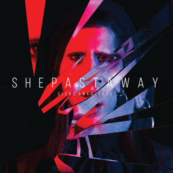 She Past Away Disko Anksiyete Vinyl LP