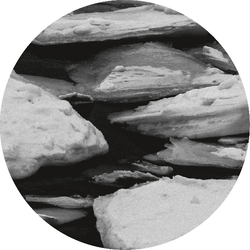 YWF Replaced EP Vinyl LP