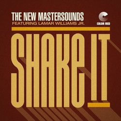 The New Mastersounds Shake It / Permission To Land Vinyl LP