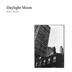 Yuzo Iwata Daylight Moon Vinyl LP