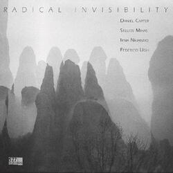 Daniel Carter / Stelios Mihas / Irma Nejando / Federico Ughi Radical Invisibility Vinyl LP