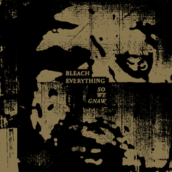 Bleach Everything So We Gnaw Vinyl LP