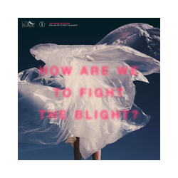 The SHAKING SENSATIONS How Are We To Fight The Blight? Vinyl 2 LP