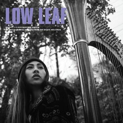 Low Leaf Baker's Dozen Vinyl LP