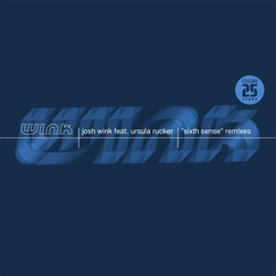 Josh Wink / Ursula Rucker Sixth Sense Remixes Vinyl LP