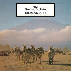 The Teardrop Explodes Kilimanjaro Vinyl LP