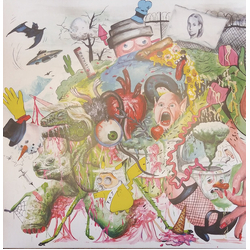 Tropical Fuck Storm Braindrops Vinyl LP