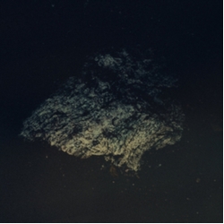 Multicast Dynamics Lost World Vinyl LP