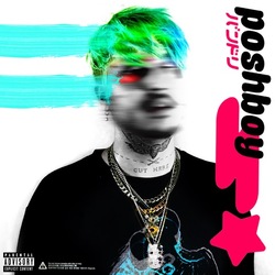 ITSOKTOCRY Poshboy! Vinyl LP