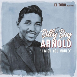 Billy Boy Arnold I Wish You Would Vinyl LP