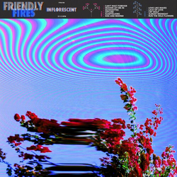 Friendly Fires Inflorescent Vinyl LP