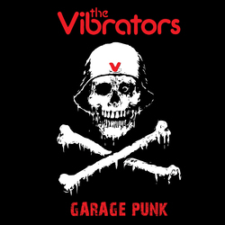 The Vibrators Garage Punk Vinyl LP