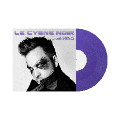 Le Cygne Noir Shadow Of A Wrecking Ball Vinyl LP