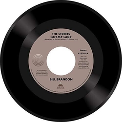Bill Brandon Streets Got My Lady / Whatever I Am I'M Yours Vinyl 7"