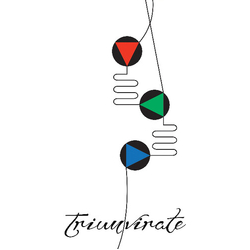 Carter Tutti Void Triumvirate Vinyl LP