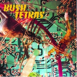 Bush Tetras There Is A Hum Vinyl 7"