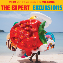 The Expert Excursions Vinyl LP