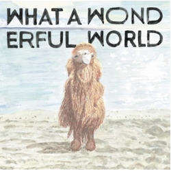 Yasuyuki Horigome What A Wonderful World Vinyl LP