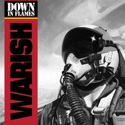 Warish Down In Flames Vinyl LP