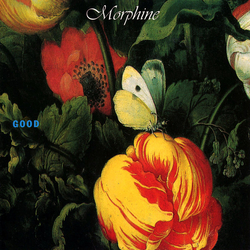 Morphine (2) Good Vinyl LP