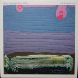 Charles Rumback / Ryley Walker Little Common Twist Vinyl LP