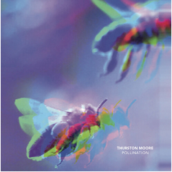 Thurston Moore Pollination Vinyl LP
