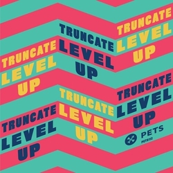 Truncate Level Up Vinyl LP