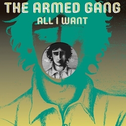 The Armed Gang All I Want Vinyl LP