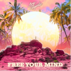 Big Gigantic Free Your Mind Vinyl 2 LP