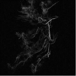 Jarboe Illusory Vinyl LP