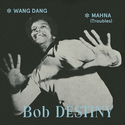 Bob Destiny Wang Dang / Manha (Troubles) Vinyl LP