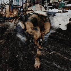 Joe Volk / Naiare Primitive Energetics Vinyl LP