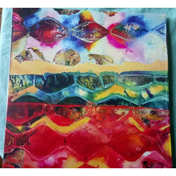 Custard Flux Echo Multi Vinyl LP/CD