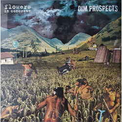 Flowers In Concrete / Dim Prospects Split Vinyl LP