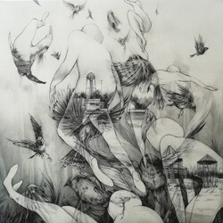 Mono (7) The Last Dawn Vinyl LP