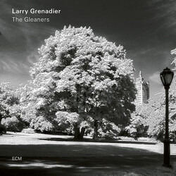 Larry Grenadier The Gleaners Vinyl LP