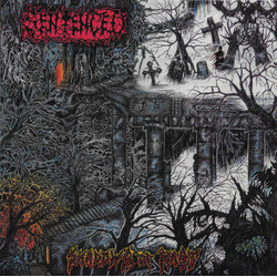 Sentenced Shadows Of Past Vinyl LP