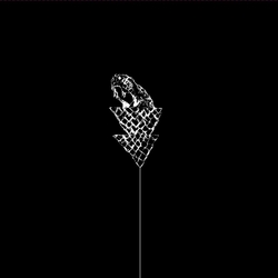 Wetware Flail VINYL LP