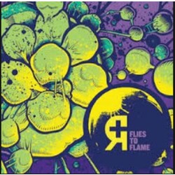 Rosetta Flies To Flame Vinyl LP
