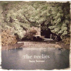 The Feelies Here Before