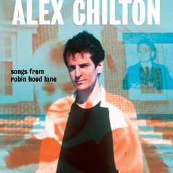 Alex Chilton Songs From Robin Hood Lane VINYL LP