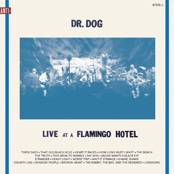 Dr. Dog Live At A Flamingo Hotel Vinyl LP