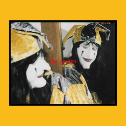 Garden Mirror Might Steal Your Charm VINYL LP