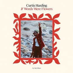 Curtis Harding If Words Were Flowers