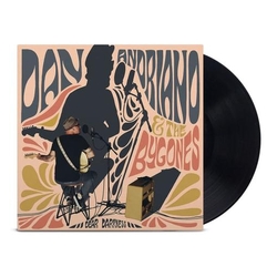 Dan; Bygones Andriano Dear Darkness VINYL LP